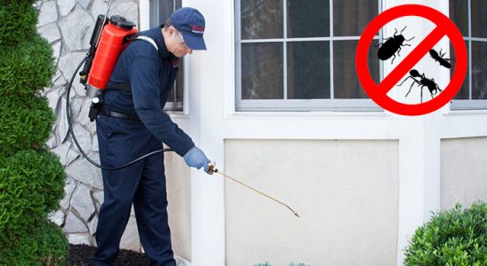 Sungurlu Kemirgen İlaçlama böcek ilaçlama ve haşere kontrolü — ilaclama-tr.com